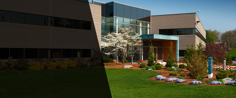 Summerland Key Landscapers