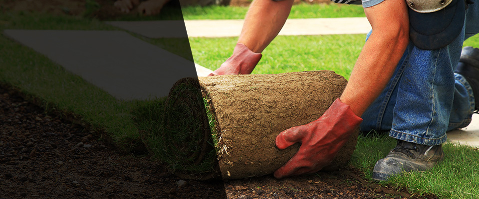 Summerland Key Landscapers